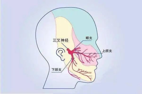 微信图片1.jpg