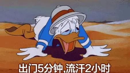 u=4089170098,750820448&fm=26&fmt=auto&gp=0.jpg