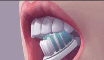 微信图片_20210910003837.gif