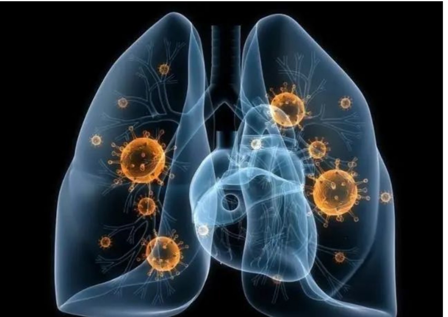 批注 2021-09-07 204320.jpg