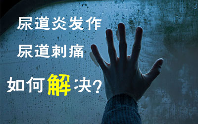 src=http_%2F%2Fl.b2b168.com%2F2016%2F08%2F04%2F15%2F201608041511220426184.jpg&refer=http_%2F%2Fl.b2b168.jpg