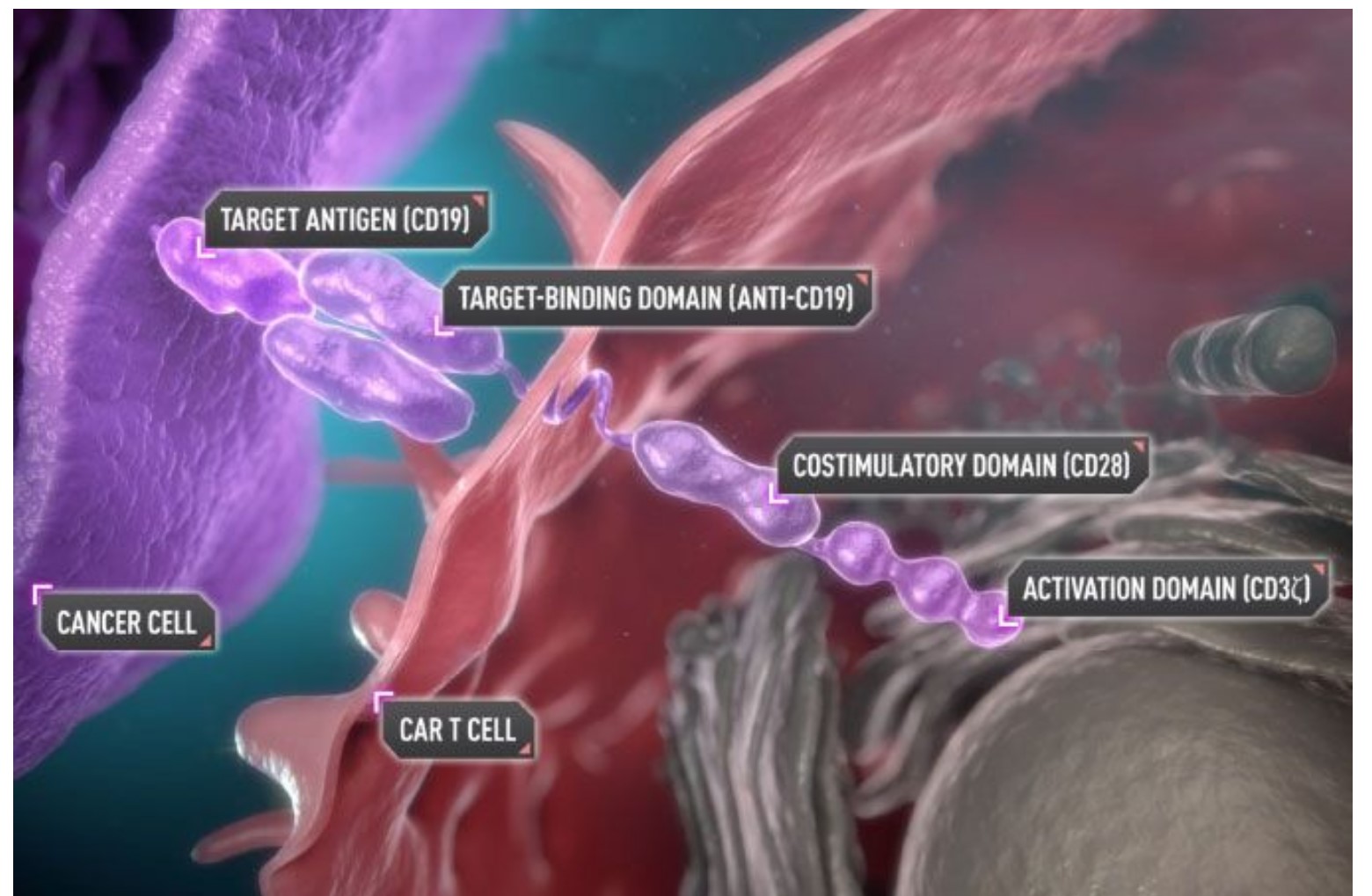 批注 2021-09-15 193142.jpg