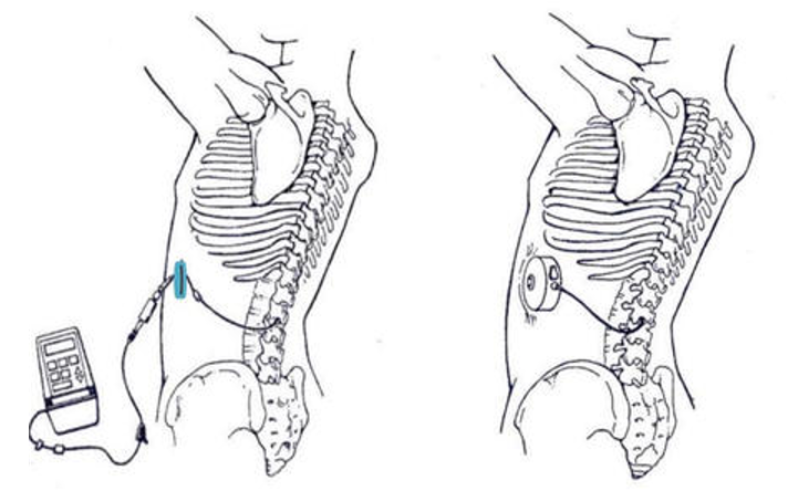 1631863180(1).png