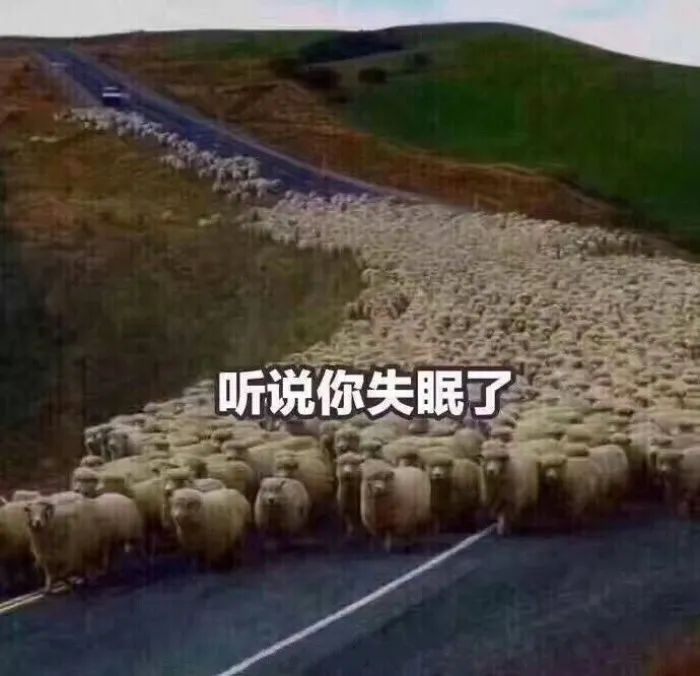 微信图片_6.jpg