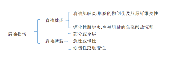 肩袖损伤MRI诊断思路