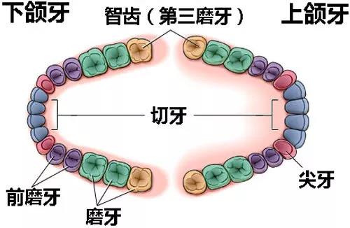 微信图片_20211006142544.jpg