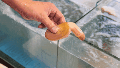 v2-48a8f0496e913cb261edfa9c915482c8_b.gif