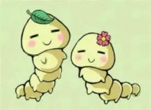 u=3927918566,165807839&fm=26&fmt=auto.jpg