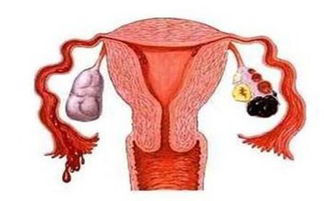 结婚3年没怀孕，女子拒绝试管，求诊山东医生