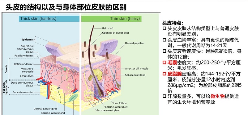 src=http___image.chinabeauty.cn_ueditor_upload_image_20180714_6366718498189457539687470.png&refer=http___image.chinabeauty.jpg