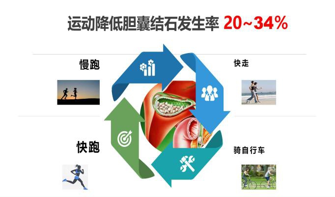 运动降低胆囊结石发病率.jpg