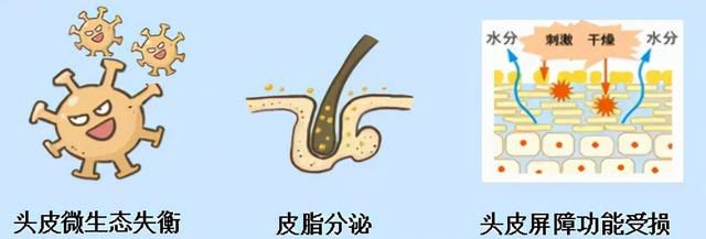 src=http___nimg.ws.126.net__url=http%3A%2F%2Fdingyue.ws.126.net%2F2021%2F0922%2F838ccf99j00qztzxo000mc000hs0061m.jpg&thumbnail=650x2147483647&quality=80&type=jpg&refer=http___nimg.ws.126.jpg
