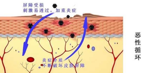 src=http___pic3.zhimg.com_50_v2-9414b1ff4872833aa14b9748ef195b41_hd.jpg&refer=http___pic3.zhimg.jpg