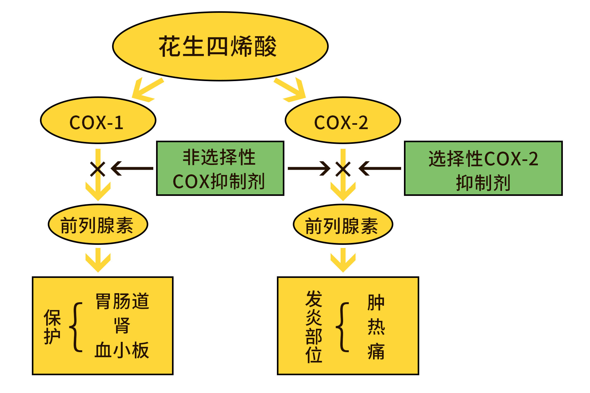 吃了一个月抗风湿药不见效，类风湿患者想换药，该换吗？