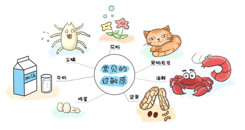 常见的过敏原.png