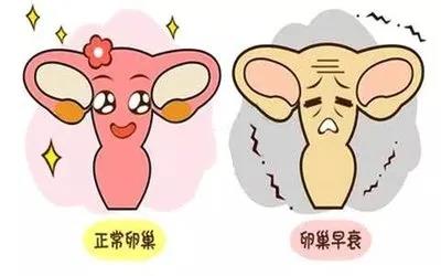 微信图片_20211019115855.jpg