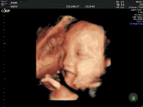 微信图片_20211019154219.gif