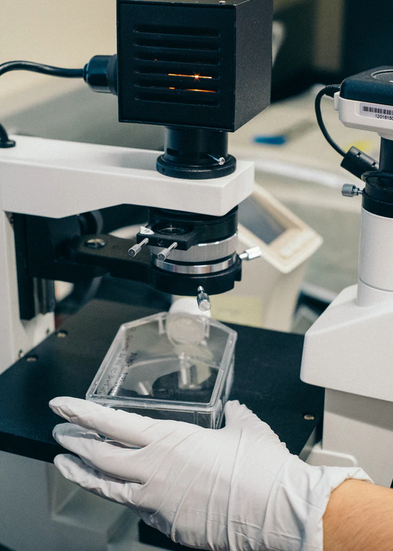 胎停是“优胜劣汰”结果?这种想法要不得