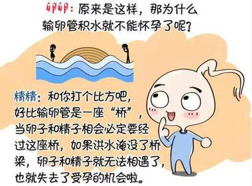 你想了解“输卵管积水”的干货都在这里