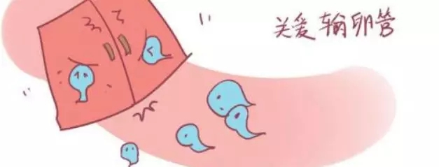 你想了解“输卵管积水”的干货都在这里
