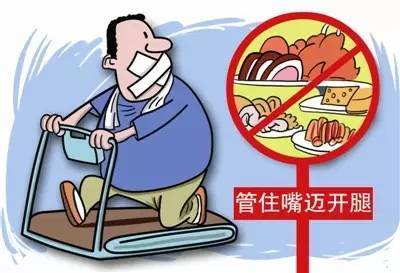 甲减变「胖」？该怎么减肥？