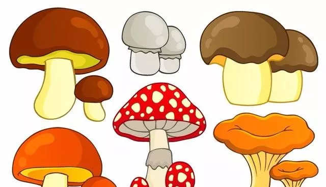 乳腺纤维瘤能自愈吗？看了这一篇你才知道