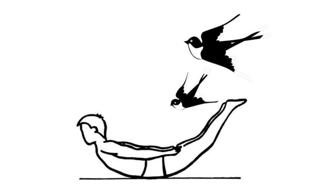 小燕飞标准动作 演示图片