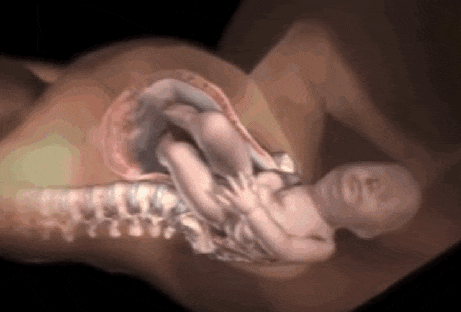 微信图片_20211025125529.gif
