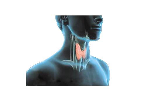 是不是所有甲状腺结节都会癌变呢？