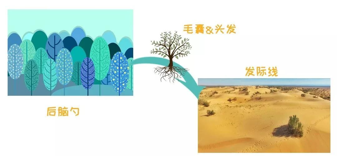 100bc11e9b9c9db9dc93cb7b121b775d.jpg