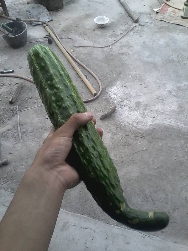444.jpg