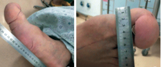 屏幕截图 2021-11-12 092653.png