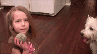 f682a8b9f3ed42e291fe9157f16ca51a.gif