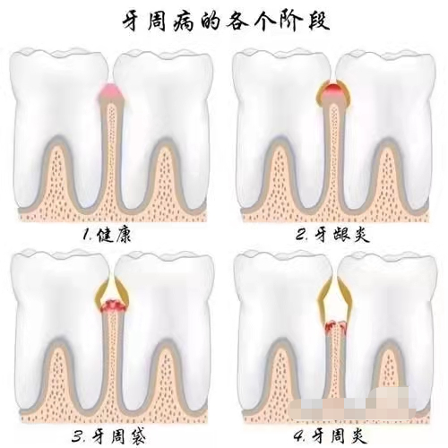 1637139138(1).jpg