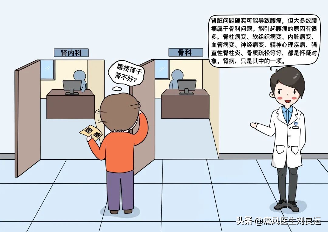 痛风不仅伤关节还能伤肾，医生告诉您：治疗痛风肾关键在降尿酸