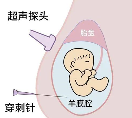 1637309796979453.png image.png