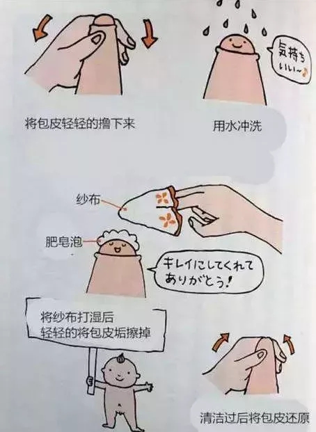 3.webp.jpg