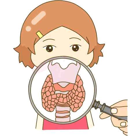 体检发现甲状腺抗体高怎么办？不要慌，一文读懂桥本氏甲状腺炎