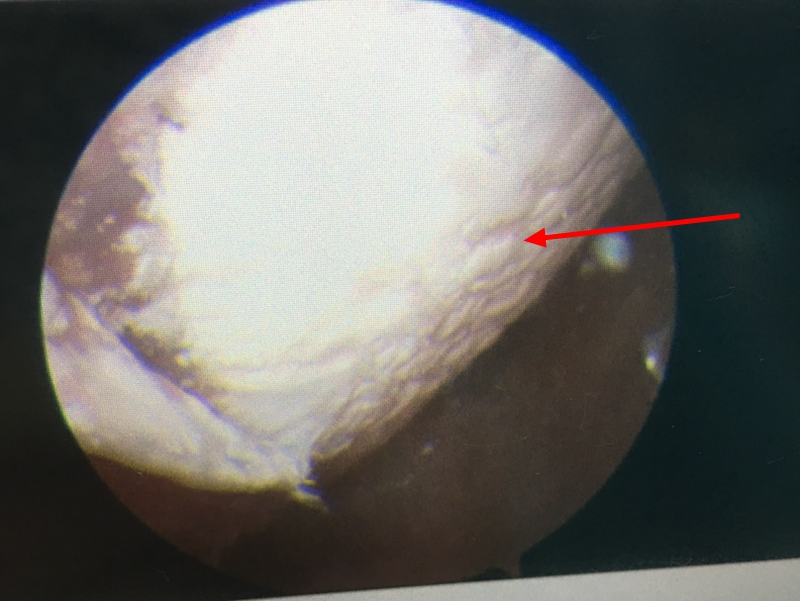 1637912194254141.jpg webwxgetmsgimg (1).jpg