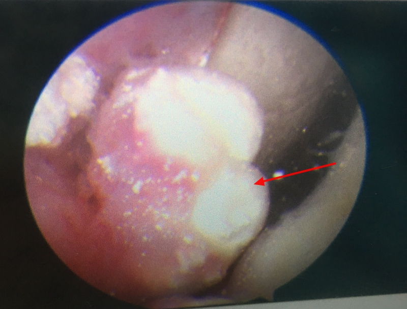 1637912211529644.jpg webwxgetmsgimg (2).jpg