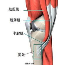 1637913157424832.jpg 下载.jpg