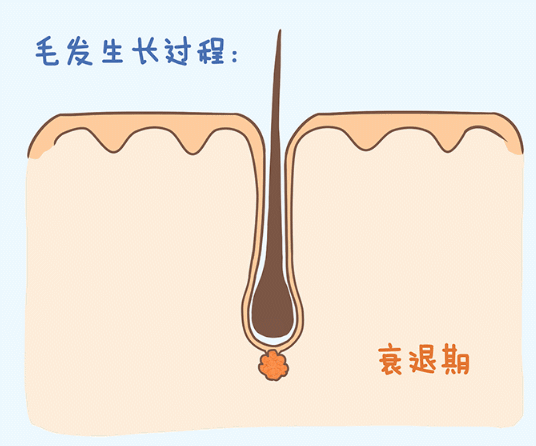 5.gif