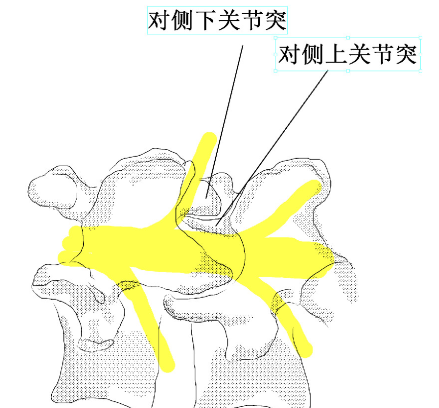 1638087657349655.png