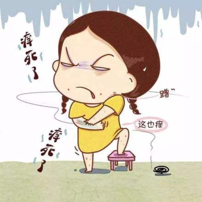 瘙痒.jpeg
