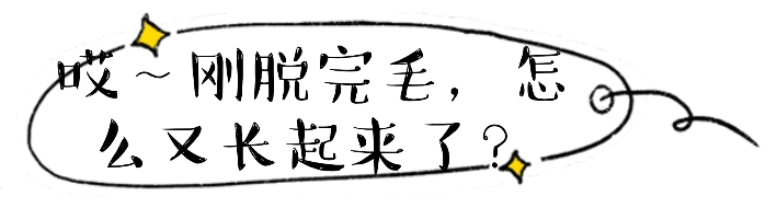 mmexport1617344187318_mh1638257239717.jpg