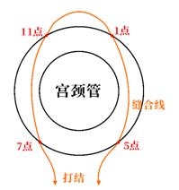 图片.png