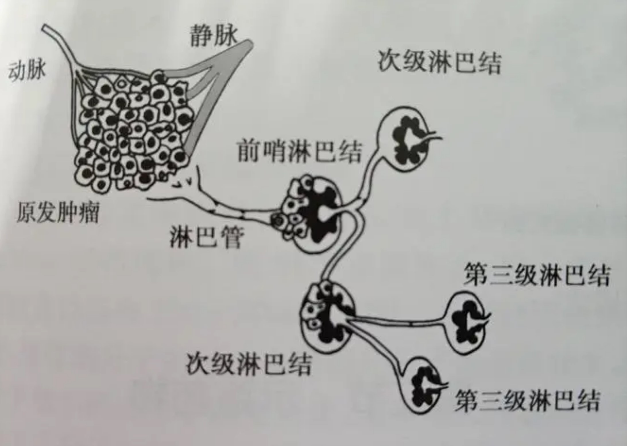 批注 2021-11-29 174132.jpg