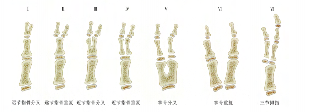 屏幕截图 2021-12-13 221645.png