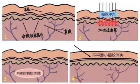 微信图片_20211215114450.png