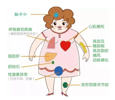 1639567287117632.png image.png